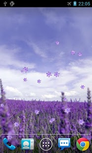 Download Lavender Live Wallpaper